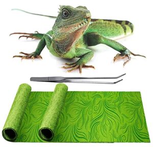 rep buddy 2 pack rainforest tropical reptile carpet mat substrate, terrarium liner bedding, for lizard,chameleon,gecko,snake,ceratophrys with tweezers feeding tong (10 gallon(21.5x11.5in))