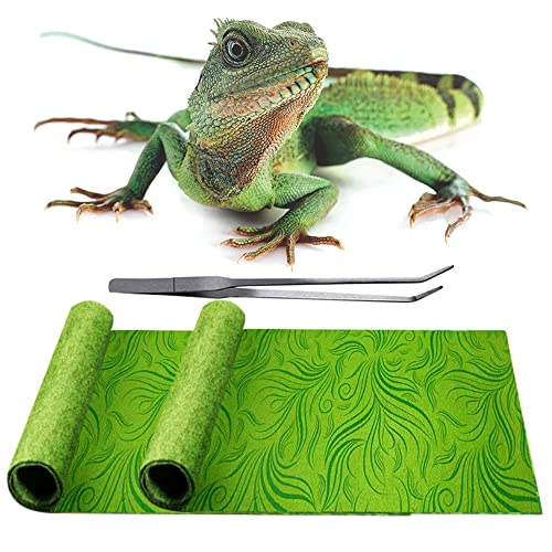 REP BUDDY 2 Pack Rainforest Tropical Reptile Carpet Mat Substrate, Terrarium Liner Bedding, for Lizard,Chameleon,Gecko,Snake,Ceratophrys with Tweezers Feeding Tong (10 Gallon(21.5x11.5in))