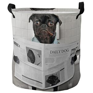 collapsible laundry basket - 16.5 x 17 in smoking pug sitting on the toilet storage bin laundry hamper with handles, funny watching newspaper waterproof clothes baskets for bedroom/kids room