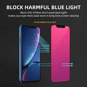 EGKimBa Privacy Screen Protector compatible with iPhone 13 Pro Max/iPhone 14 Plus, 6.7 inch Gradient Colorful Electroplated Anti-Spy Anti-Blue Light Easy Installation Tempered Glass