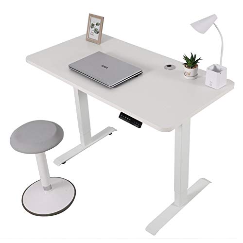 walnest Electric Standing Desk with Double Motor Height Adjustable Desk Electric Stand Up Desk for Home Office Sit Stand Desk Rising Computer Desk White Frame and Top Lift Desk 23.6 x 46.4 inches