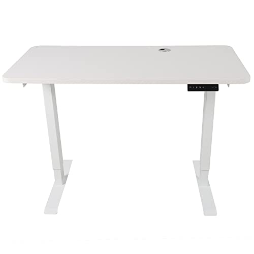 walnest Electric Standing Desk with Double Motor Height Adjustable Desk Electric Stand Up Desk for Home Office Sit Stand Desk Rising Computer Desk White Frame and Top Lift Desk 23.6 x 46.4 inches