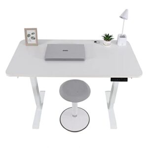 walnest Electric Standing Desk with Double Motor Height Adjustable Desk Electric Stand Up Desk for Home Office Sit Stand Desk Rising Computer Desk White Frame and Top Lift Desk 23.6 x 46.4 inches