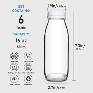 YEBODA 16oz Glass Milk Bottle with Plastic Tamper-proof Caps (6 Pack) Vintage Reusable Dairy Drinking Containers, Glass Bottles for Milk, Juice,Yogurt, Smoothies, Honey, Tomato Sauce, Jam, Syrup