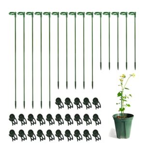 30 pcs plant support stakes with 30 pcs plant clips garden floral flower support single stem support stake for phalaenopsis orchid flower roses amaryllis