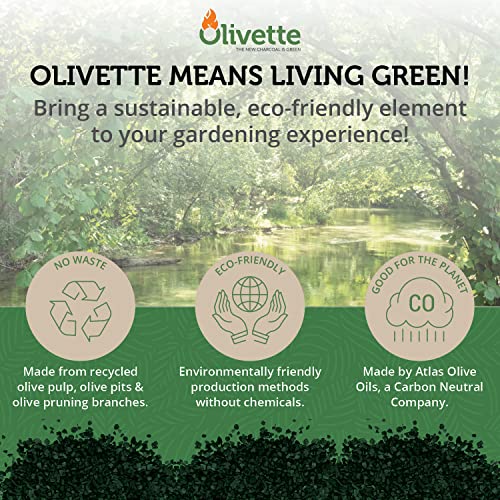 Horticultural Activated Charcoal for Plants by Olivette | Terrarium Horticulture Moisture Absorbers Supplies USDA Organic Certified Made from Recycled Olive Tree Byproducts 1 Qt Bag