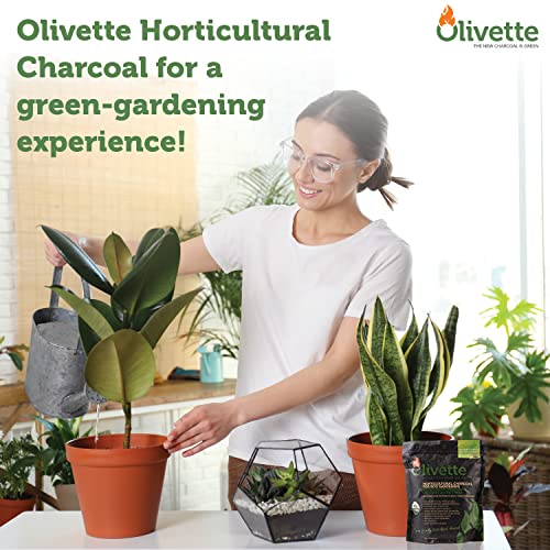 Horticultural Activated Charcoal for Plants by Olivette | Terrarium Horticulture Moisture Absorbers Supplies USDA Organic Certified Made from Recycled Olive Tree Byproducts 1 Qt Bag