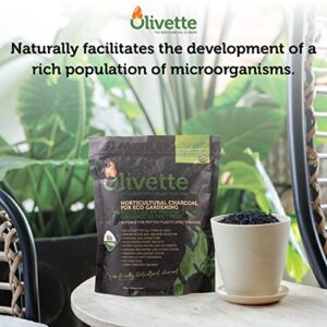 Horticultural Activated Charcoal for Plants by Olivette | Terrarium Horticulture Moisture Absorbers Supplies USDA Organic Certified Made from Recycled Olive Tree Byproducts 1 Qt Bag