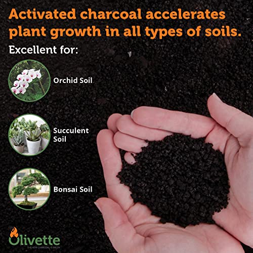 Horticultural Activated Charcoal for Plants by Olivette | Terrarium Horticulture Moisture Absorbers Supplies USDA Organic Certified Made from Recycled Olive Tree Byproducts 1 Qt Bag