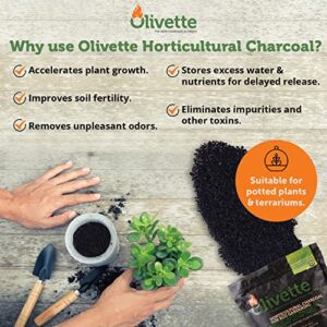 Horticultural Activated Charcoal for Plants by Olivette | Terrarium Horticulture Moisture Absorbers Supplies USDA Organic Certified Made from Recycled Olive Tree Byproducts 1 Qt Bag