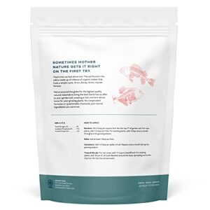 Infinity Soil - Fish Bone Meal - Sustainable and Natural Soil Amendment - Made from Dried Fish Bones - A Natural Source of Phosphorus and Calcium - 1 LB