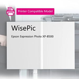 WisePic Remanufactured Ink Cartridge Replacement for Epson 312 XL 312XL T312 T312XL to Use with Expression Photo XP-8500 XP8500 Printer (2 Black)