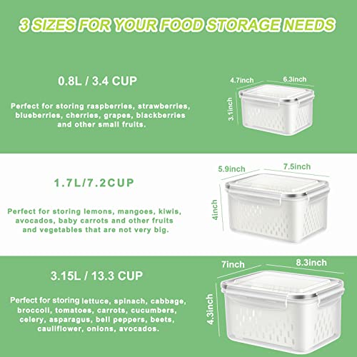 3 Pack Fruit Storage Containers for Fridge, Produce Saver Vegetable Container with Drain Colanders - Refrigerator Organizer for Lettuce Berry Keepers