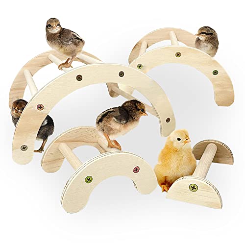 Backyard Barnyard Chick Perch (4 Pack) Made in USA!!! Strong Jungle Gym Natural Wood Roosting Bar Chicken Toys for Brooder and Coop Baby Birds El Pollitos La Pollita Pollos Gallinas Polluelos