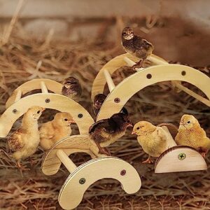 Backyard Barnyard Chick Perch (4 Pack) Made in USA!!! Strong Jungle Gym Natural Wood Roosting Bar Chicken Toys for Brooder and Coop Baby Birds El Pollitos La Pollita Pollos Gallinas Polluelos