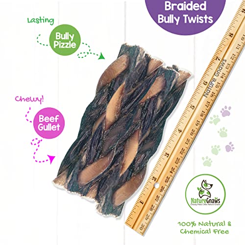 Nature Gnaws - Braided Twists for Dogs - Premium Natural Beef Dog Chew Treats - Combo of Bully Sticks and Beef Gullet - Long Lasting Training Reward