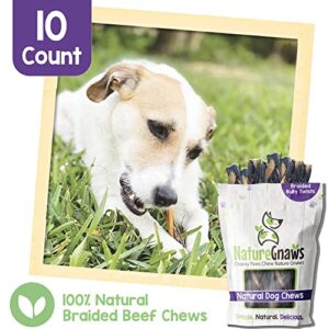 Nature Gnaws - Braided Twists for Dogs - Premium Natural Beef Dog Chew Treats - Combo of Bully Sticks and Beef Gullet - Long Lasting Training Reward