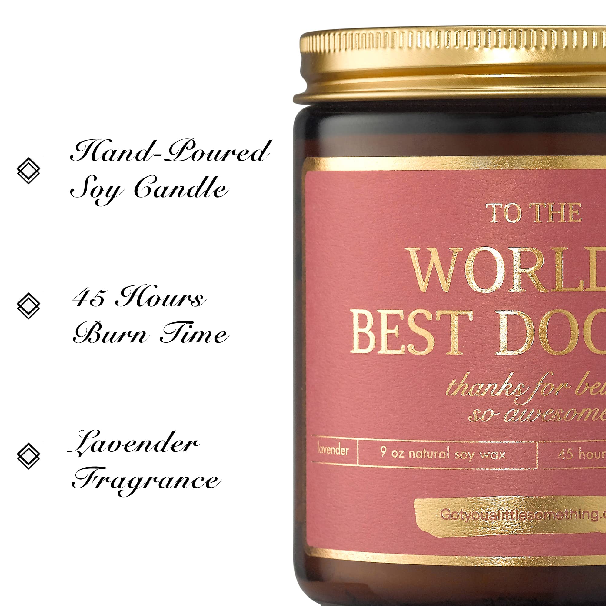 World's Best Doctor Candle - Handmade 9oz Soy Candle ; Thank You Doctor Gifts for Women and Men, Gifts for DR, Surgeons, OBGYN, Radiologists, Doctors Appreciation Present Ideas