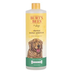 burt's bees for pets training dog dental water additive with aloe vera extract, 16 fl oz | water additive for dogs in fresh mint flavor | 97% natural dog water additive
