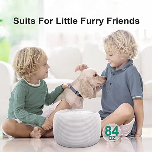 Cat Water Fountain, 84oz/2.5L Pet Water Fountain for Cats Inside, Ultra Quiet Automatic Cat Water Dispenser, Silent Pump with Dry-Run Protection, Dual Mode for Cats, Small Dogs