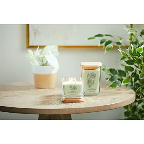 Yankee Candle Energizing Grapefruit & Rosemary Well Living Collection Large Square Candle, 19.5 oz.