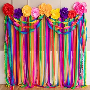 riles & bash fiesta streamer backdrop with crepe paper flowers and ruffled streamers (fiesta)