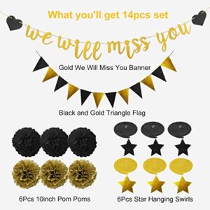 Farewell Party Decorations Supplies Kit -We Will Miss You Banner, Triangle Flag, 6Pcs Star Swirl, 6Pcs Pom,30Pcs Hanging Swirls- Great for Retirement Farewell Going Away Job Change Party Decorations