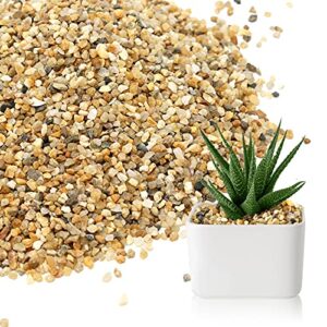 coarse sand stone - succulents and cactus bonsai diy projects rocks, decorative gravel for plants and vases fillers，terrarium, fairy gardening, natural stone top dressing for potted plants.1.6lb