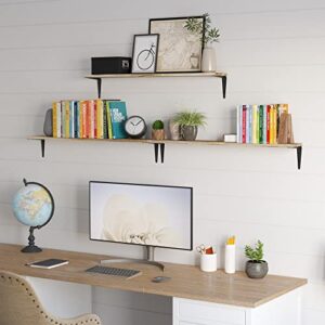 Wallniture Arras 36" Floating Shelves for Wall Storage, Bookshelf Living Room Decor, Bedroom & Kitchen Organization, Office Decor, Wall Shelf Set of 3