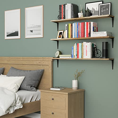 Wallniture Arras 36" Floating Shelves for Wall Storage, Bookshelf Living Room Decor, Bedroom & Kitchen Organization, Office Decor, Wall Shelf Set of 3