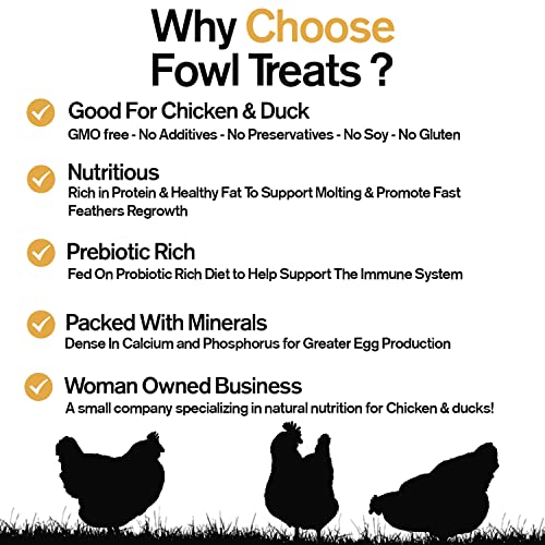 Fowl Treats Naturally Fortified Treats – Protein Rich Supplement Suitable for Chickens, Hens and Ducks, Hand Mixed with USA Grown Ingredients – Equinox Blend – 32oz