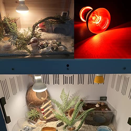 Aiicioo Reptile Heat Lamp Combo Set - 100W Day and Night Reptile Light Bulb Infrared Basking Bulb for Bearded Dragon Lizard Turtle Hermit Crab Leopard Gecko Snake Chameleon Tank