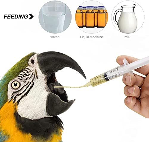 PDZZZD Bird Feeding Syringe Baby Bird Formula Feeding Tube