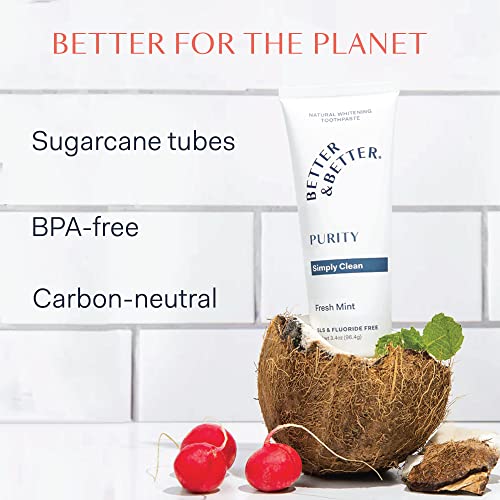 Better & Better Purity Toothpaste | Fluoride Free, SLS Free Toothpaste for Sensitive Brushers | 1 CT | Fresh Breath with Organic Mints | Natural, Vegan, Whitening Toothpaste to Remove Plaque