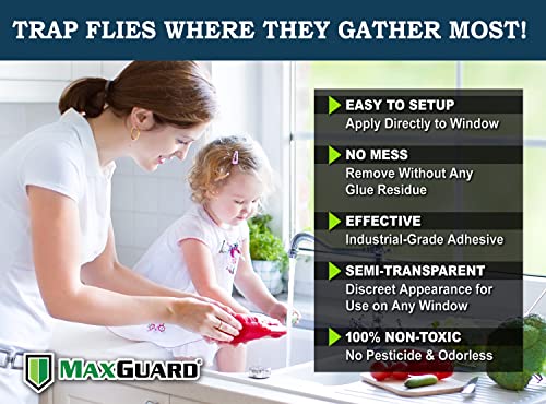 MaxGuard Window Fly Traps (24 XL Traps) Catch & Kill Houseflies, Flying Insects & Bugs. Non-Toxic Sticky Glue Traps Fly Killer Clear Strip Insect Catcher Safe No Zapping with Zapper |