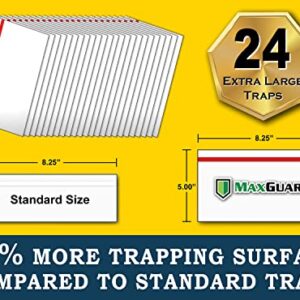 MaxGuard Window Fly Traps (24 XL Traps) Catch & Kill Houseflies, Flying Insects & Bugs. Non-Toxic Sticky Glue Traps Fly Killer Clear Strip Insect Catcher Safe No Zapping with Zapper |