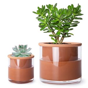 phoenix vine 4 inch 6 inch self watering plants pots, design terracotta pots for plants, indoor cylinder terra cotta planter with glass vase set, 51-a-g