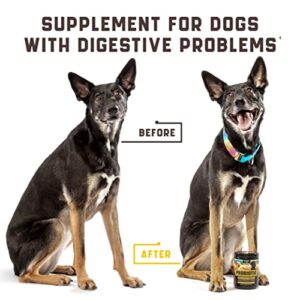 Probiotics for Dogs - Support Gut Health, Itchy Skin, Allergies, Yeast Balance, Immunity - Dog Probiotics and Digestive Enzymes for Small, Medium and Large Dogs - 180 Probiotic Chews for Dogs, Duck