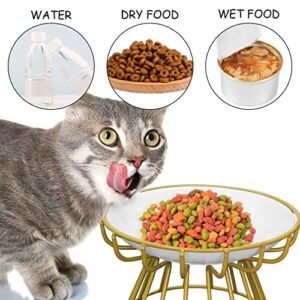 BNOSDM Raised Cat Dish Ceramic Shallow Cat Bowl with Gold Stand Elevated Pet Food Plate for Indoor Cat Kitten Small Dogs