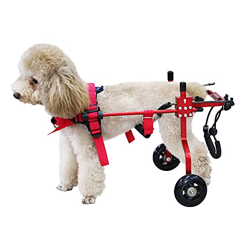 HobeyHove Adjustable Dog Wheelchair for Back Legs，Pet/Doggie Doggy Wheelchairs with Disabled Hind Legs Walking (XS-Red)