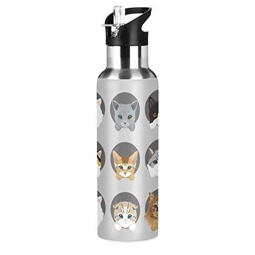 Cute Cat Kitten Water Bottle Kids Insulated Thermos Stainless Steel Hot Cold Water Flask Jug with Straw Lid for Sports Gym Running 20 oz