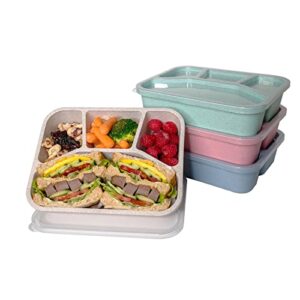 4 pack meal prep lunch containers with 4 compartments, durable bento lunch box, bpa free, wheat straw meal prep containers reusable, divided food storage containers for work