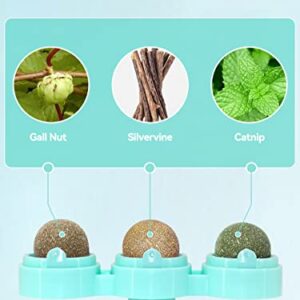 Petslucent Catnip Ball for Cats Wall, 3in1 Cat Toys Wall Ball Mint Balls Lick Roller, Cat Nip Silvervine Edible Kitty Safe Healthy Kitten Teeth Cleaning Dental Cat Toy Chew Toys Indoor