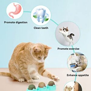 Petslucent Catnip Ball for Cats Wall, 3in1 Cat Toys Wall Ball Mint Balls Lick Roller, Cat Nip Silvervine Edible Kitty Safe Healthy Kitten Teeth Cleaning Dental Cat Toy Chew Toys Indoor