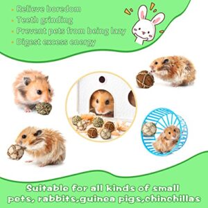 Sosation 24 Packs Guinea Pigs Toys Small Animals Play Balls Chew Gnawing Treats Bunny Toys Hay Grass Balls for Small Animals Entertainment PET Cage Accessories