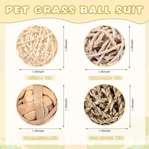 Sosation 24 Packs Guinea Pigs Toys Small Animals Play Balls Chew Gnawing Treats Bunny Toys Hay Grass Balls for Small Animals Entertainment PET Cage Accessories