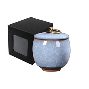 Urn for Human Ashes,Small Urns for Human Ashes Cat Urns for Ashes Dog Urn Decorative Urns Beautiful Small Sharing Funeral Urn with Black Gift Box (Blue)