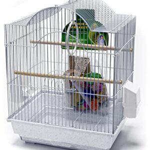 PENN-PLAX Small Bird Starter Kit with Birdcage and Accessories – Great for Parakeets, Lovebirds, Parrotlets, Finches, Canaries, and More – Arch Style Cage – White