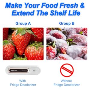 Refrigerator Deodorizer Portable Fridge Deodorizer Mini Odor Eliminator for Refrigerators, Shoe Cabinet, Wardrobe, Car, Pet Home