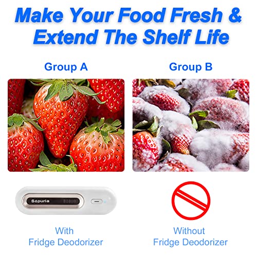 Refrigerator Deodorizer Portable Fridge Deodorizer Mini Odor Eliminator for Refrigerators, Shoe Cabinet, Wardrobe, Car, Pet Home